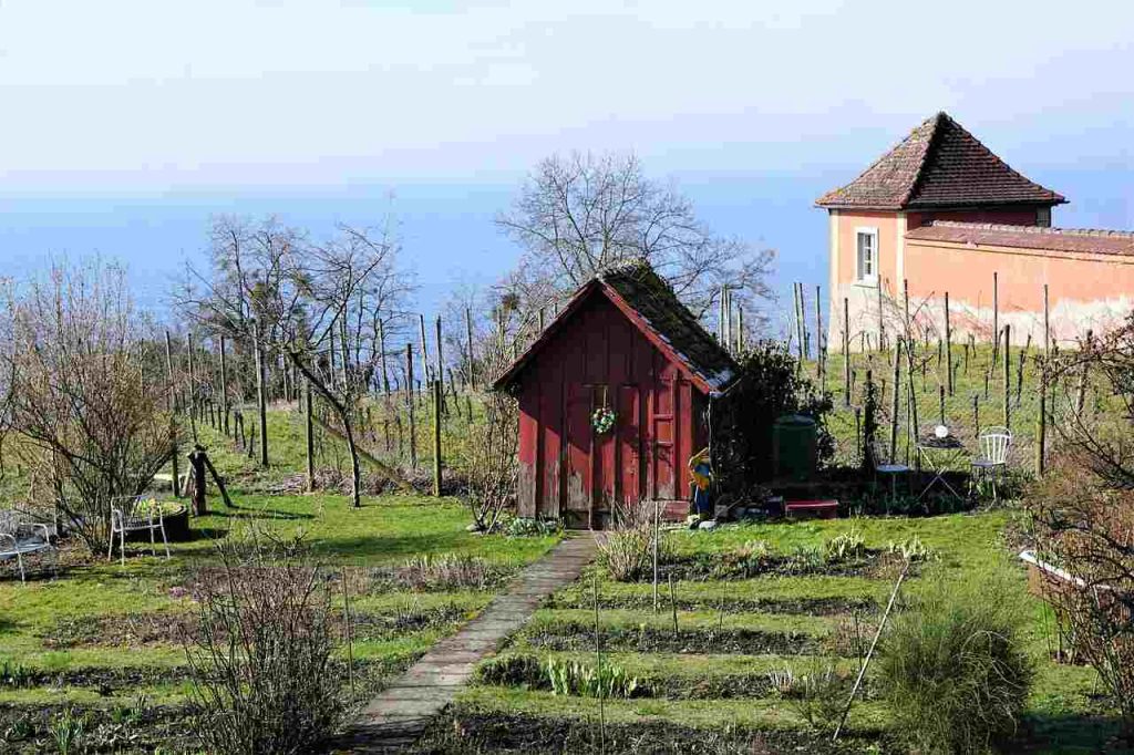 Build a Small Greenhouse