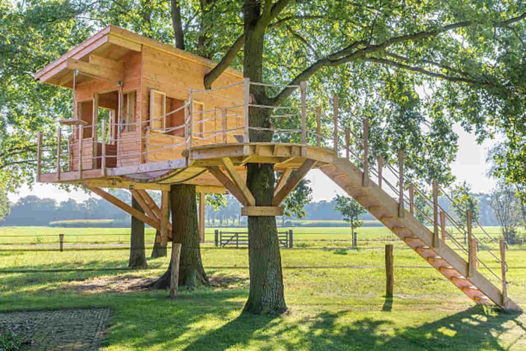 How to Build a Shed