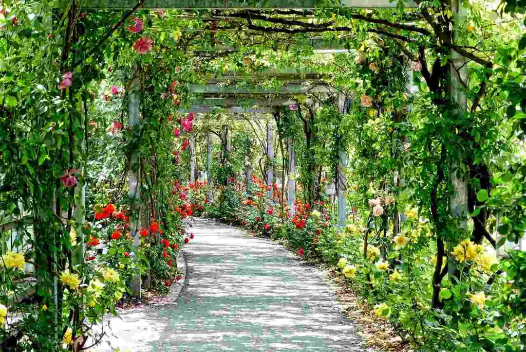 how to get on the main characters flower path