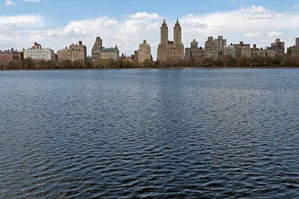 Find Horseback Riding Near Me in New York