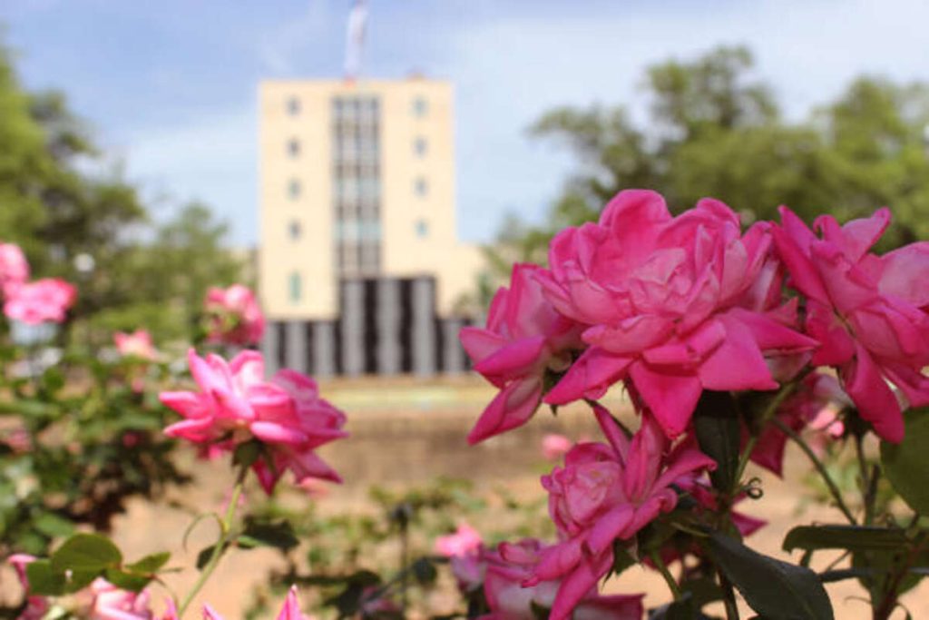 Rose Garden Funeral Home Zapata TX