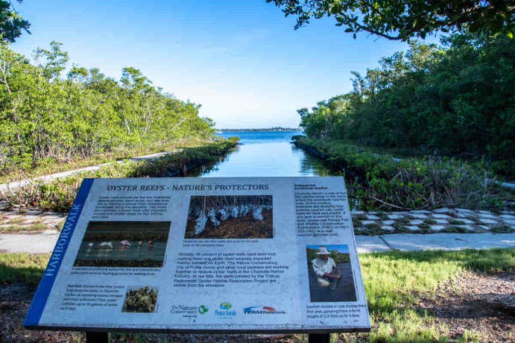 APP Punta Gorda 2023 Tour