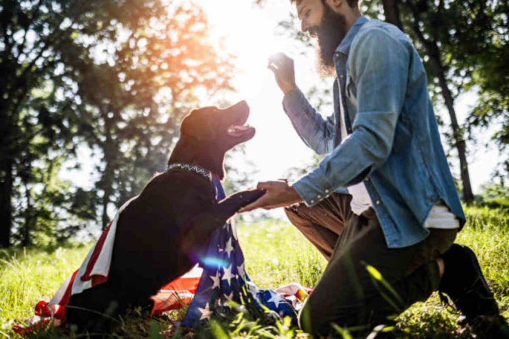 Adopt a Pet From Dallas Pets Craigslist