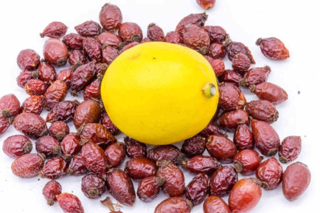 The Benefits of Kakri Fruit