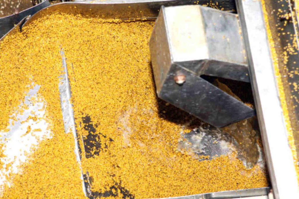 Enhancing Food Quality and Nutrition